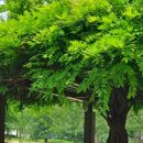 기억앤기억 이미지