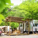 캠프오후4시 이미지