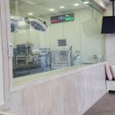 신대방동물메디컬 이미지