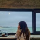 제제그리너 이미지