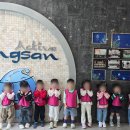 키즈킹덤어린이집 네이버블로그