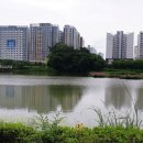 전남도청비둘기어린이집 이미지