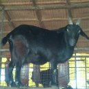 홍길동 농장 이미지