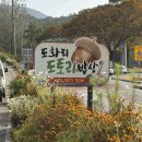 도화리 마을회관 네이버블로그