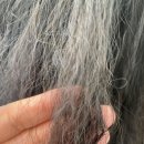 노원-공릉-3331 이미지