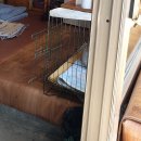 유림-1098 | 할매의 사부작사부작 국내여행 4박 5일 ¶ 봉화 여행, 송록서원, 한국유림독립운동파리장서비, 봉화 맛집.