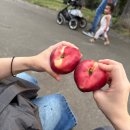 일산천문화공원화장실 | 동유럽_프라하