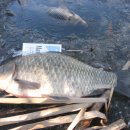 돌모루 3 이미지