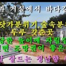 소나무부동산공인중개사사무소 이미지