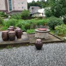 맹동우체국 티스토리