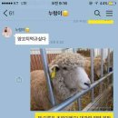 넘버원양꼬치 네이버블로그
