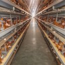 도촌농장 이미지