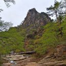 송이용소 이미지