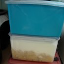 샘터어린이집 이미지