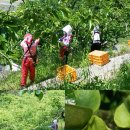 청우농장 이미지