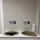 셀러블153강남의원 이미지