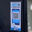 우현축산 | [W.16] 나의 웨딩밴드, 불가리 인피니토 + 롯데백화점 본점 상품권 미래상품권 할인 추천 (내돈내산)