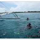 알짜 여행영어 이미지