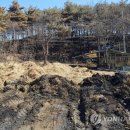 새벽농가축산 이미지