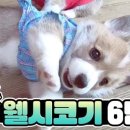 계정농장 이미지