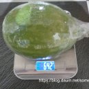 대붕농장 - 859 | 대붕농장