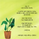 매일세탁소 이미지