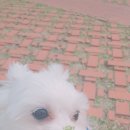 연제종합동물병원 이미지