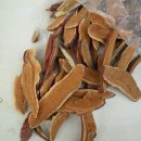 기능성머쉬 이미지