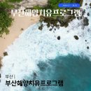 아르떼발레&필라테스 | 2026 부산해양치유프로그램 부산 놀거리 야외 선셋필라테스 요가