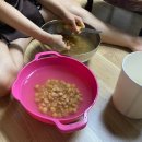 선산산업(주) 선산휴게소 상지점 | 저는 매일 누워있지만 귀여워요 반박 안받음