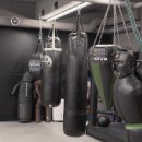 팀와이에프 | 🥊 울산에서 복싱과 레슬링을 제대로 배우는 곳 — 팀와이에프 체육관