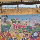 카피랜드 | 에버랜드 3월 평일 비수기 방문(대기시간, 워킹사파리, 판다월드 등)