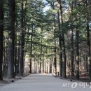 (주) 여행세상 이미지