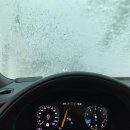 백곰세차장 이미지