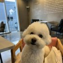 몽클라우드 이미지