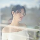 다비스튜디오 이미지