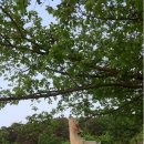 분도농장 이미지