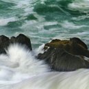 김희갑악단 이미지