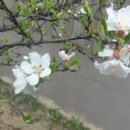 운천스크린골프 이미지