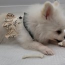 옥공인중개사사무소 이미지