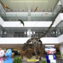 가족레저 체험코스 이미지