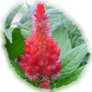 도천어린이집 이미지