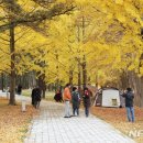 오색관광지 이미지