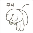 C25 이미지
