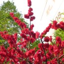 관악산현대홈타운 이미지