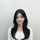브이엘