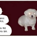 기름칠 - 광양시 오류2길 3-1 | 기름칠