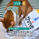 DHA치킨 | 쓰라이브 건사료 치킨 솔직 후기 기호성 좋은 치킨맛