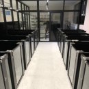 월스트리트 애견유치원 이미지