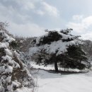 다운목장 이미지